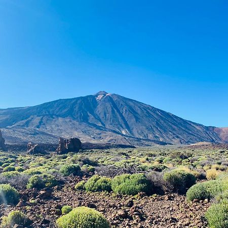 Apartamento Atlantico سانتا كروز دي تينيريف المظهر الخارجي الصورة